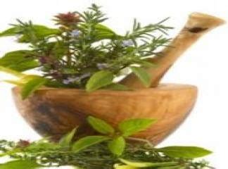 prostat tedavisinde kullanılan bitkiler